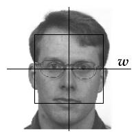 Image; see figure caption